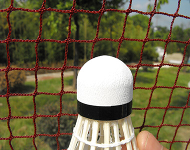 Badminton Net